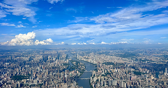 泉州cn域名信息查询