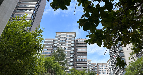 北京cn域名信息查询