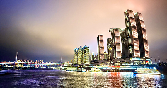 cn域名批量查询与注册系统