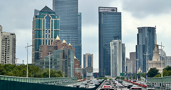 cn域名查询文档介绍内容