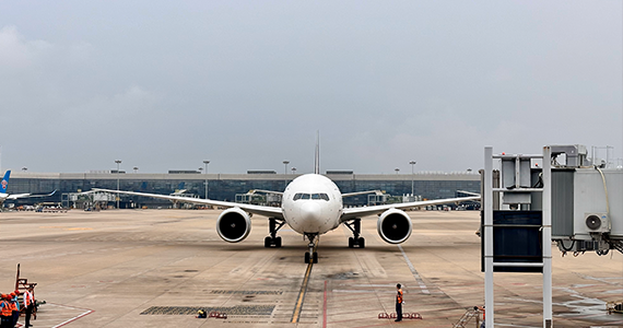 域名cname解析查询