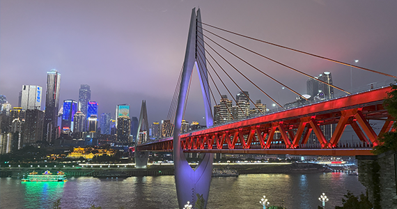 cnnic域名证书查询